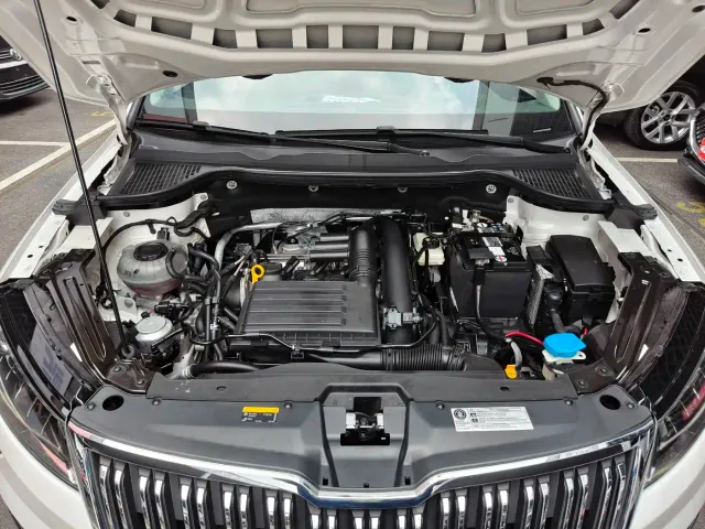 Skoda Karoq — Фото автомобиля 20
