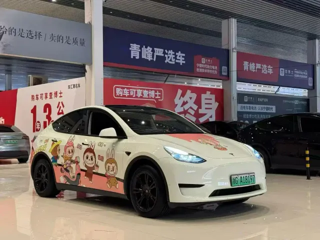 Tesla Model Y — Фото автомобиля 3