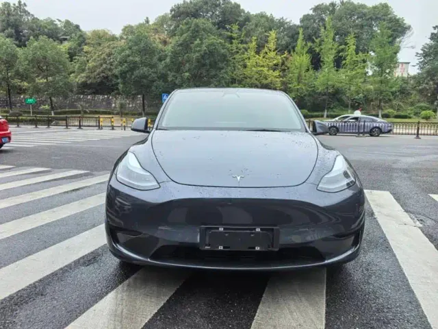 Tesla Model Y — Фото автомобиля 3
