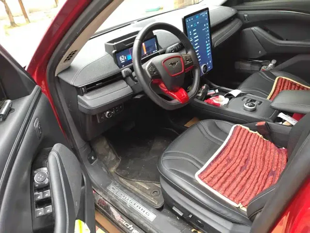 Ford Mustang Mach-E — Фото автомобиля 17