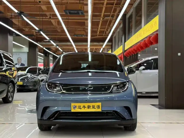 BYD Dolphin — Фото автомобиля 2
