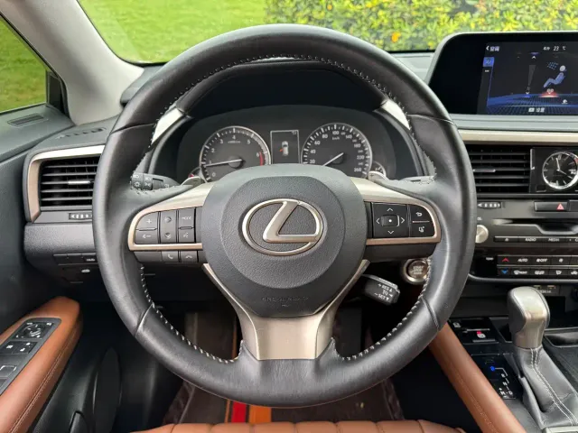 Lexus RX — Фото автомобиля 16