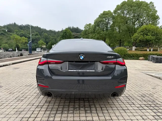BMW 4 Series — Фото автомобиля 5