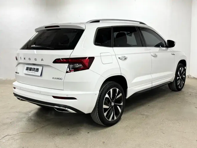 Skoda Karoq — Фото автомобиля 4