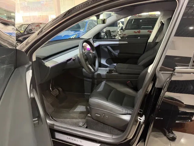 Tesla Model Y — Фото автомобиля 3