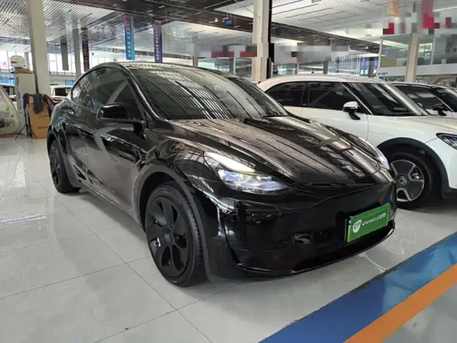 Tesla Model Y — Фото автомобиля 3