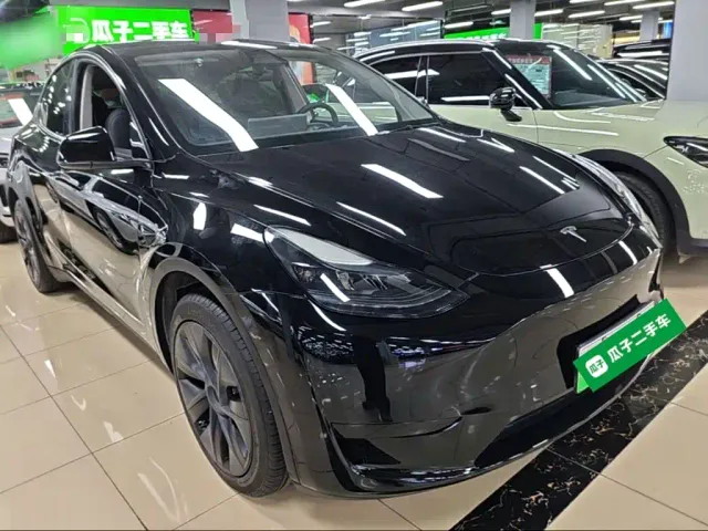 Tesla Model Y — Фото автомобиля 3