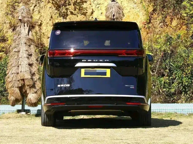 Denza D9 — Фото автомобиля 5