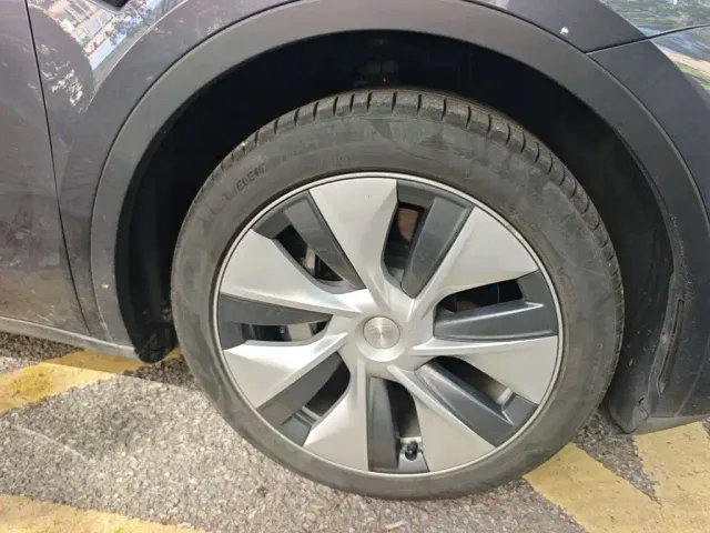 Tesla Model Y — Фото автомобиля 24