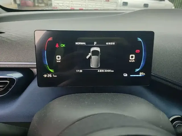 BYD Seagull 2024 Glory Edition 305km Vitality Edition — Фото автомобиля 11