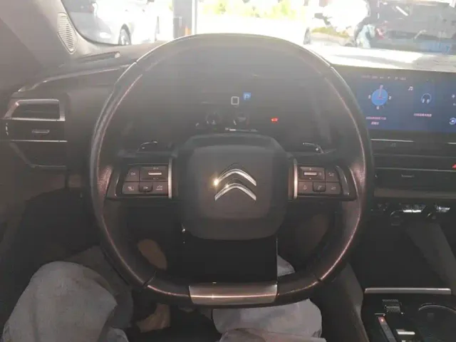 Citroen C5 X — Фото автомобиля 10