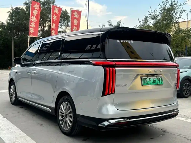 Wey Alpine — Фото автомобиля 18