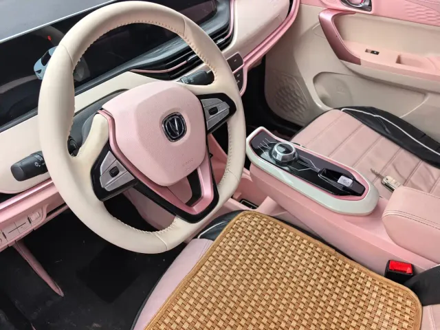 Changan Benben E-Star — Фото автомобиля 12