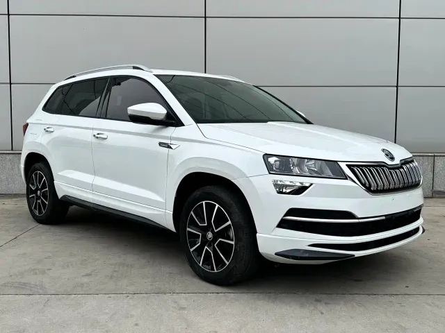 Skoda Karoq — Фото автомобиля 12