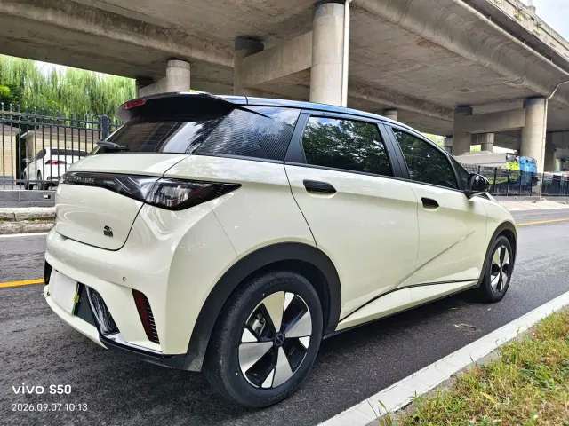 BYD Dolphin — Фото автомобиля 6