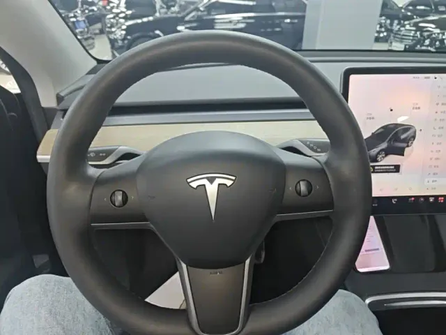Tesla Model Y — Фото автомобиля 10