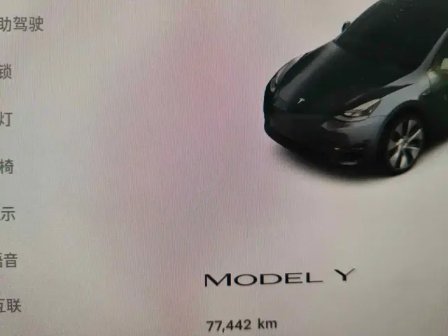 Tesla Model Y — Фото автомобиля 4