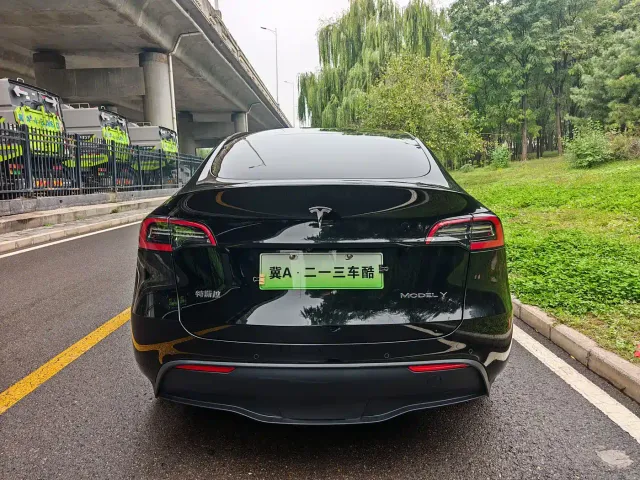 Tesla Model Y — Фото автомобиля 11