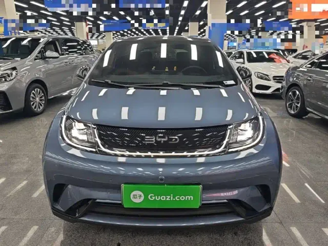 BYD Dolphin 2024 Glory Edition 420km Fashion Edition — Фото автомобиля 2