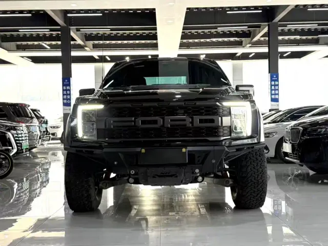 Ford F-150 Raptor — Фото автомобиля 5