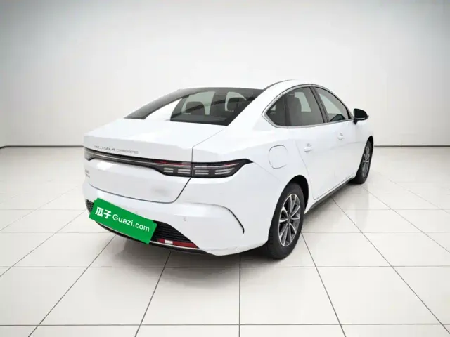 BYD Destroyer 05 — Фото автомобиля 6