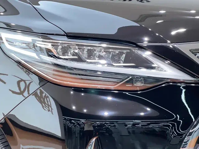 Lexus LM — Фото автомобиля 7