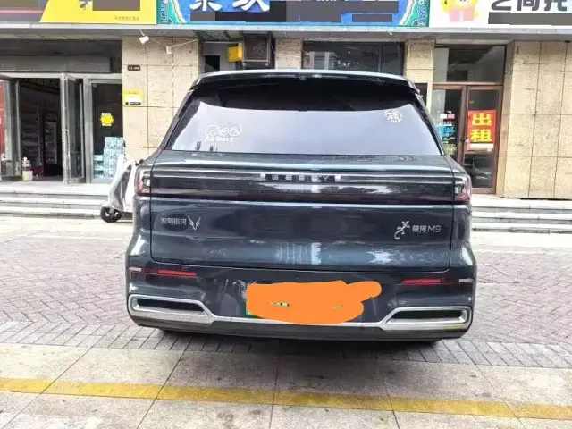 Geely Galaxy M9 — Фото автомобиля 8