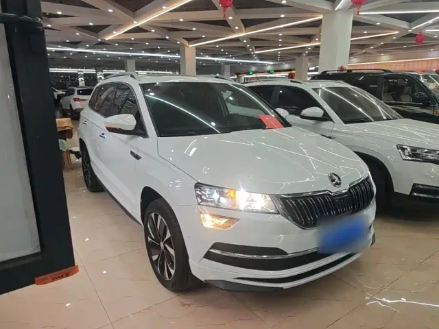 Skoda Karoq — Фото автомобиля 3