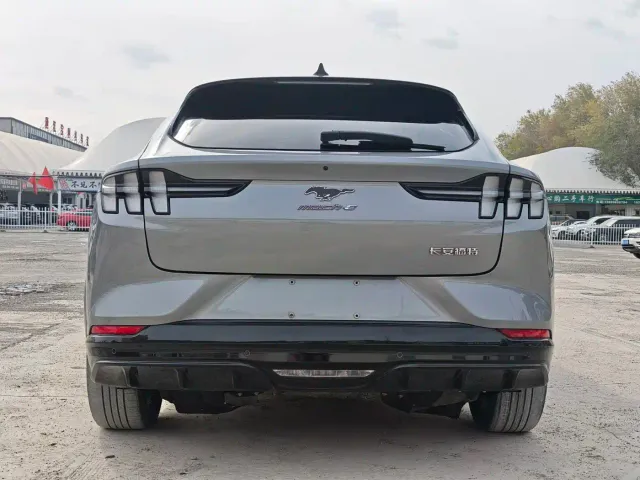 Ford Mustang Mach-E — Фото автомобиля 8