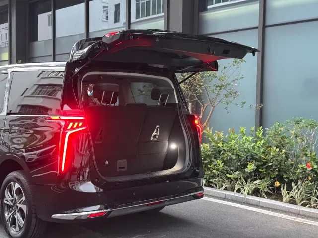 Maxus Dajia 9 — Фото автомобиля 9