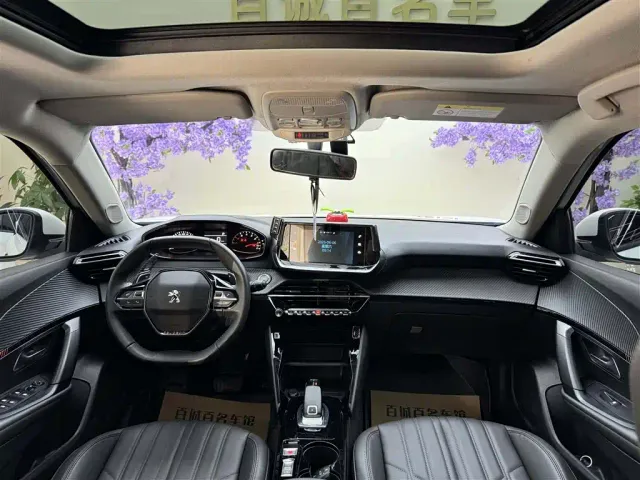 Peugeot 2008 — Фото автомобиля 14