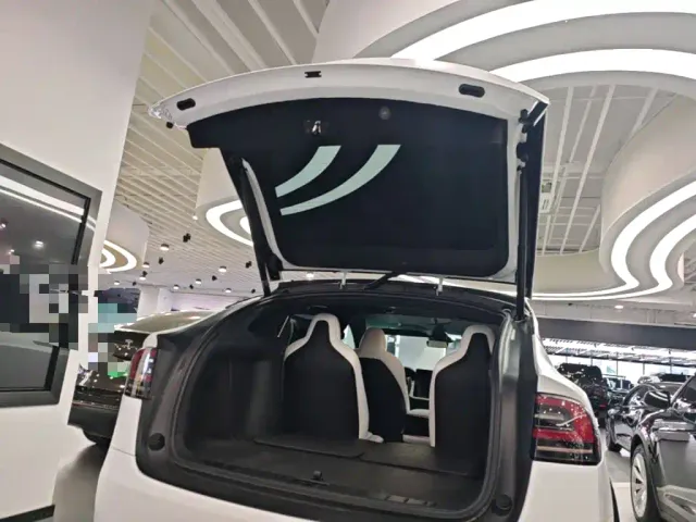 Tesla Model X — Фото автомобиля 18