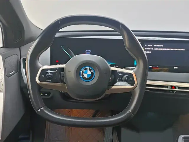 BMW iX — Фото автомобиля 14