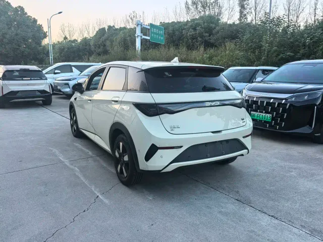 BYD Dolphin — Фото автомобиля 4
