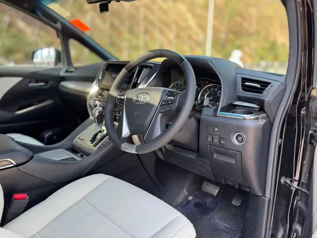 Toyota Alphard — Фото автомобиля 12