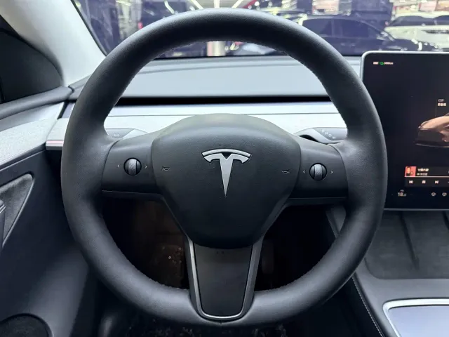 Tesla Model Y — Фото автомобиля 15
