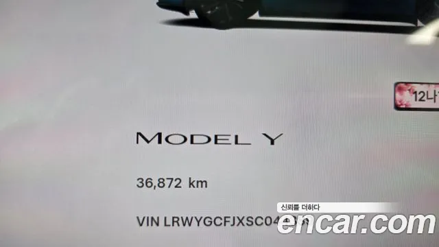 Tesla Model Y Модель Y — Фото автомобиля 3