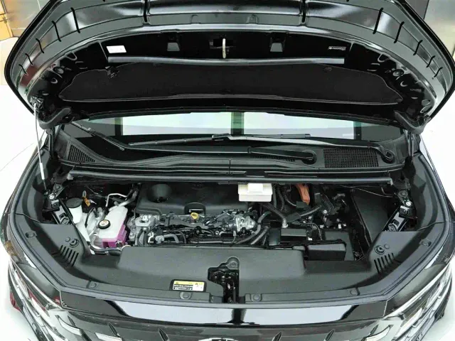 Toyota Alphard — Фото автомобиля 28
