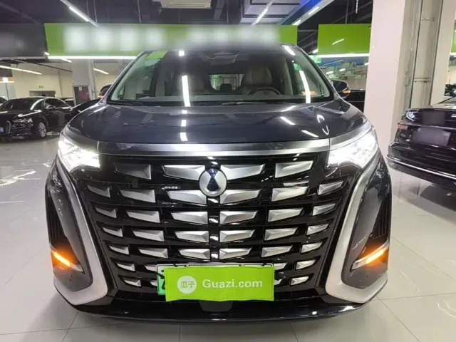 Denza Denza D9 2023 DM-i 965 Premium — Фото автомобиля 2