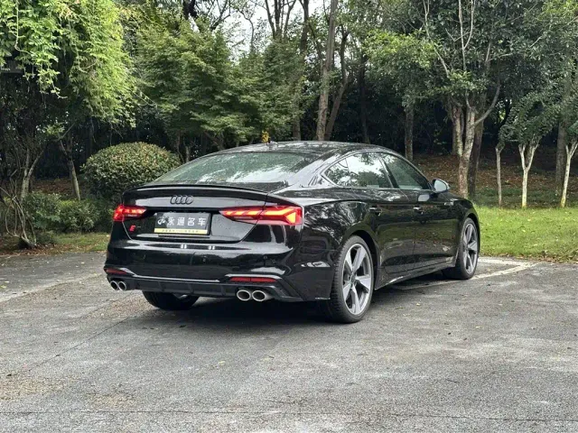 Audi S5 — Фото автомобиля 15