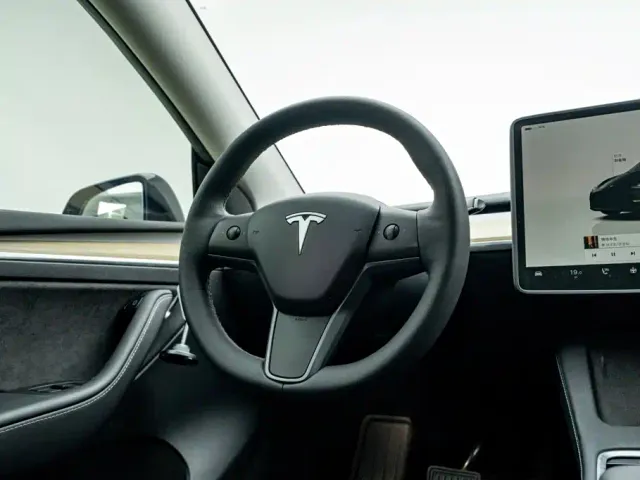 Tesla Model Y — Фото автомобиля 19