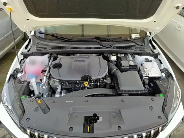 Geely Binrui — Фото автомобиля 19