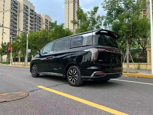 Hongqi HQ9 PHEV — Фото автомобиля 6