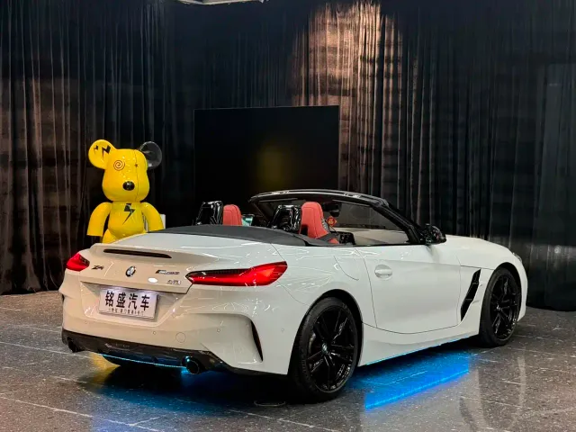 BMW Z4 — Фото автомобиля 8