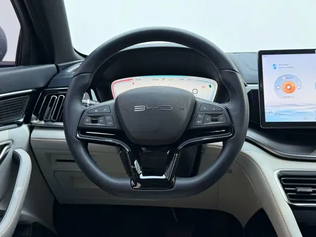 BYD Song PLUS — Фото автомобиля 9