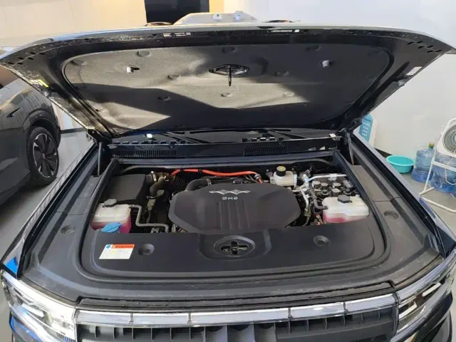 BYD FangChengBao Leopard 5 — Фото автомобиля 19