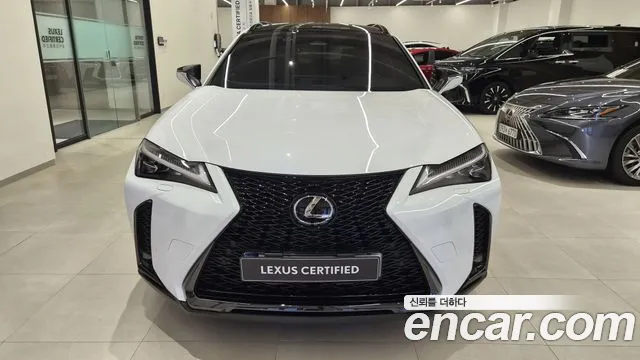 Lexus UX UX300h — Фото автомобиля 3