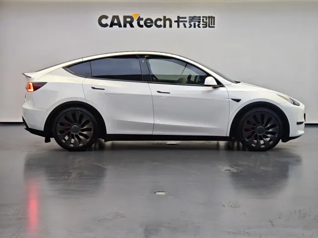 Tesla Model Y — Фото автомобиля 3