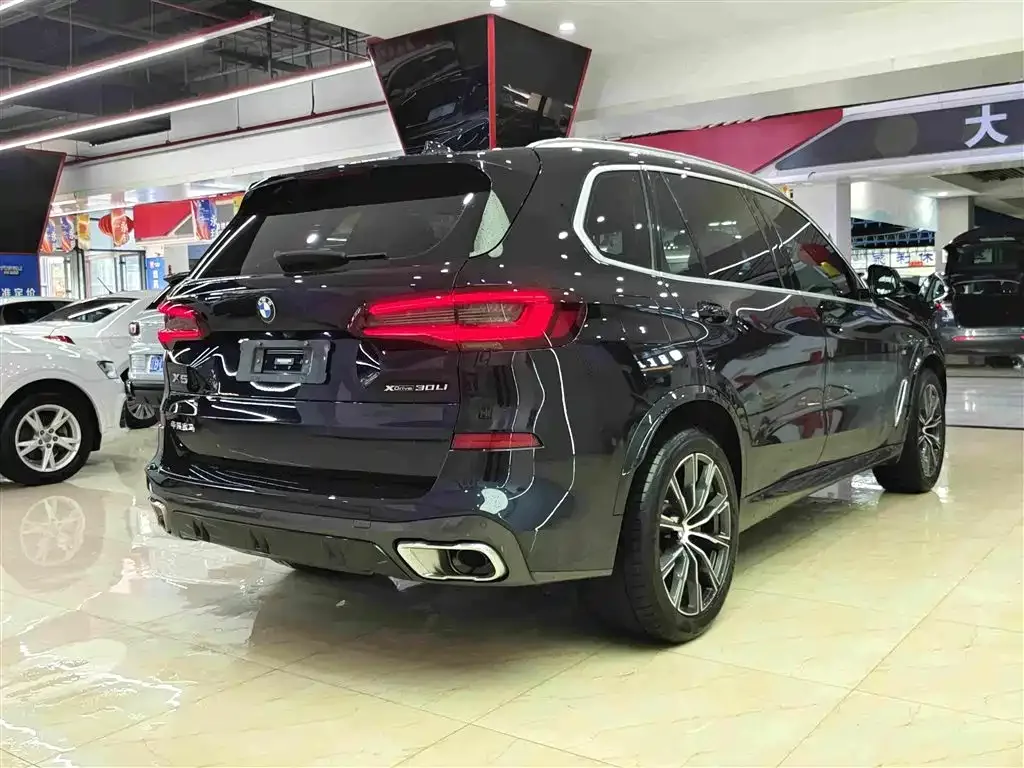 BMW BMW X5 2022 Facelift xDrive 30Li Premium M Sport Package — Фото автомобиля 14