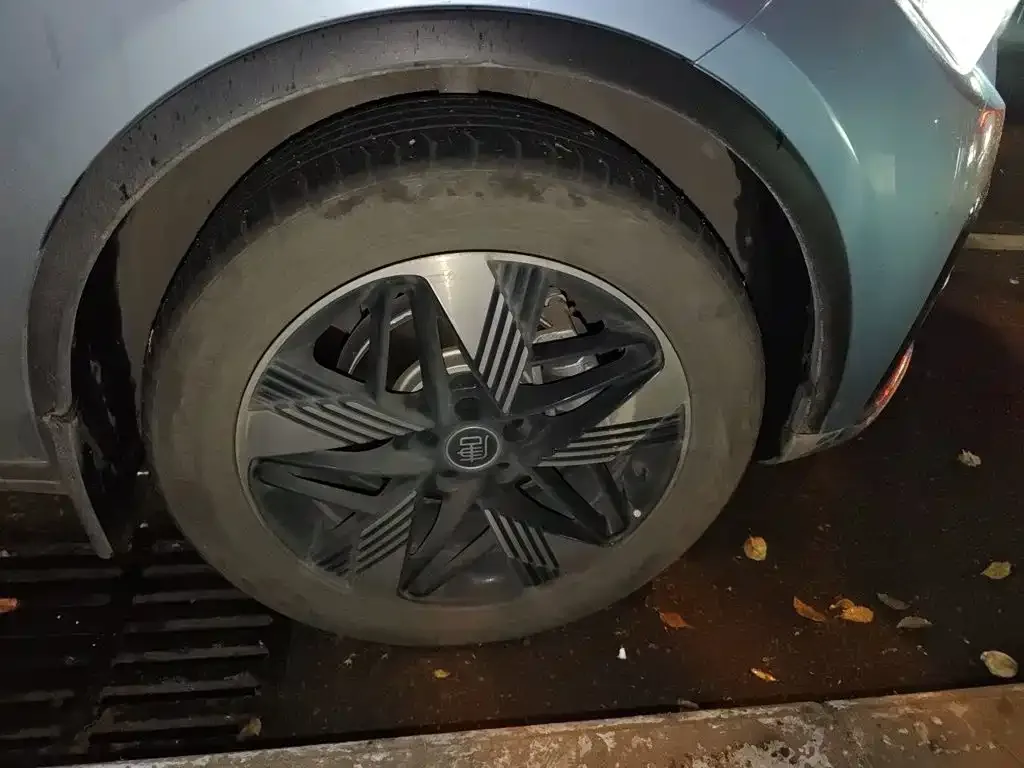BYD Tang New Energy 2023 Model DM-i Champion Edition 112KM Premium — Фото автомобиля 8
